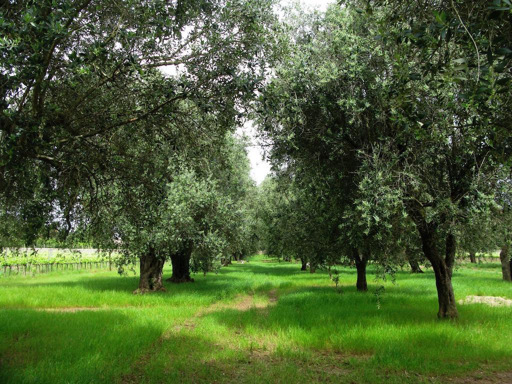Masseria San Polo Squinzano Eksteriør bilde