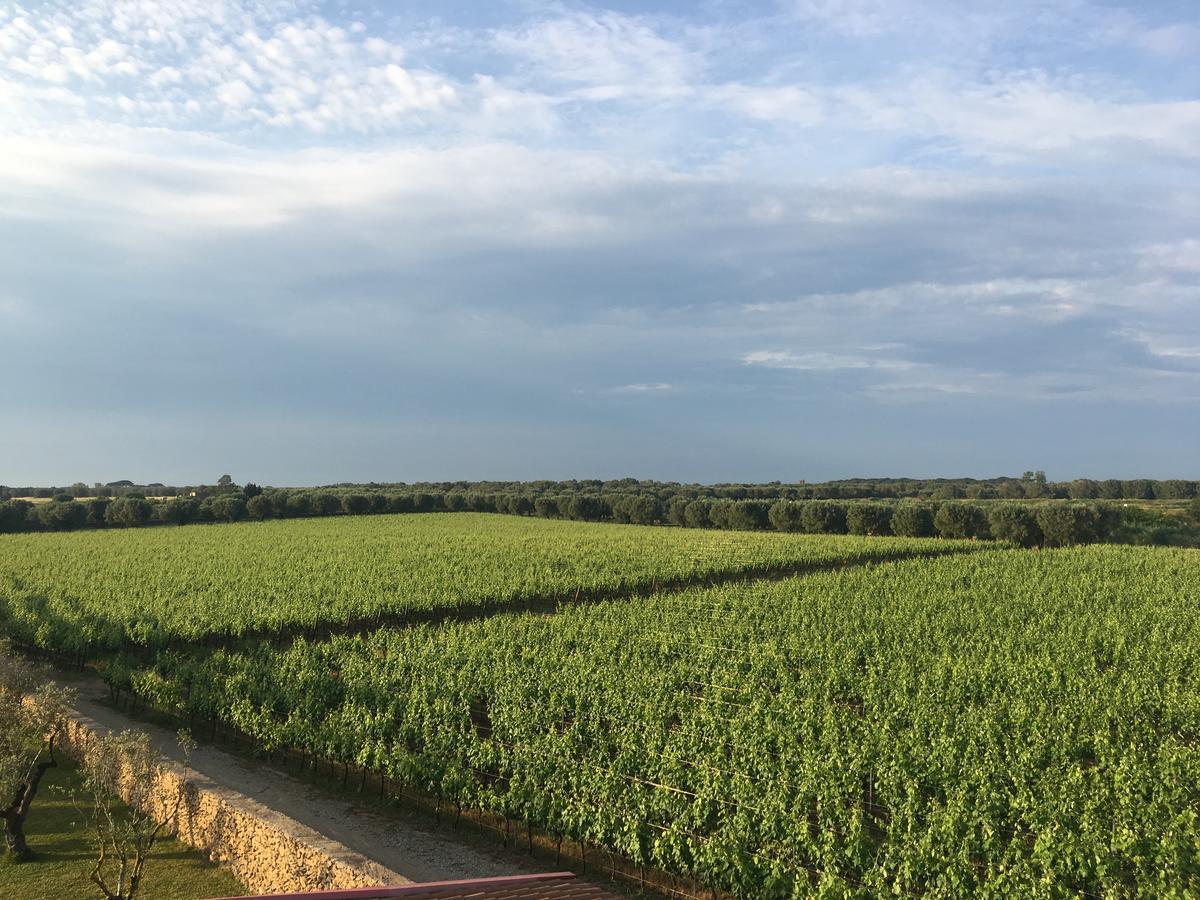 Masseria San Polo Squinzano Eksteriør bilde